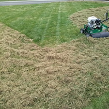 Leaf removal