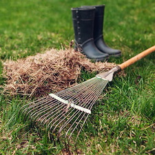 Leaf removal