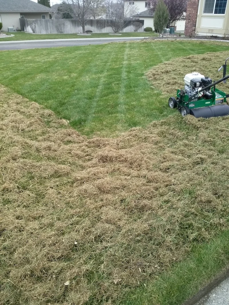 Thatching